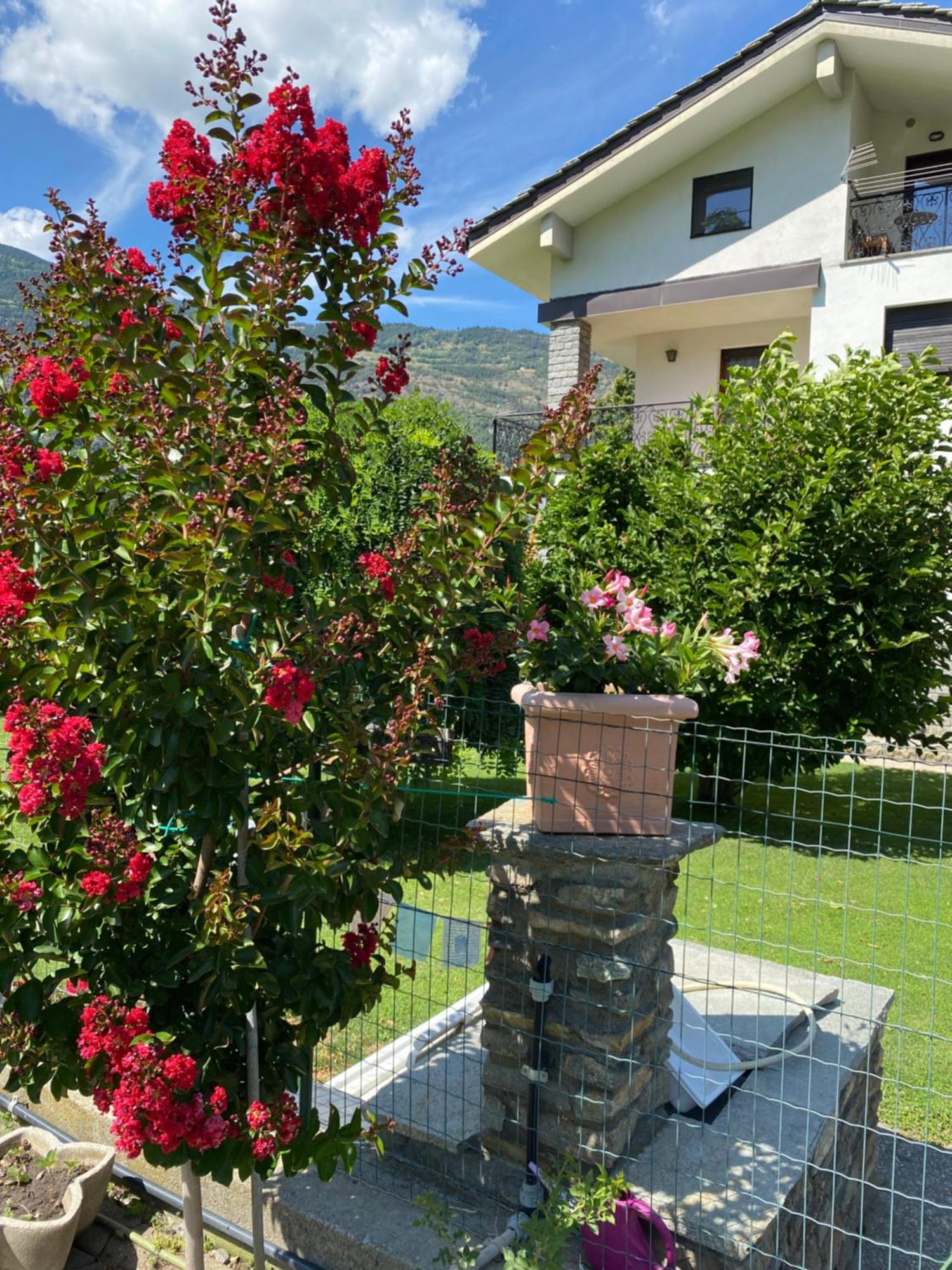 Il Tiglio Gressan Apartment Aosta Exterior foto